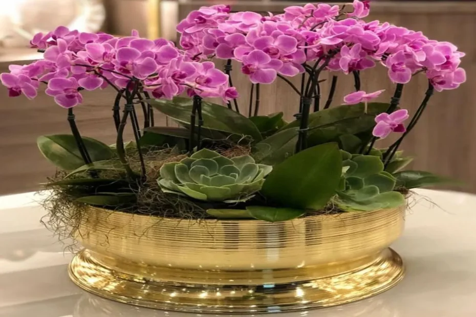 Como plantar orquídeas em vasos decorativos