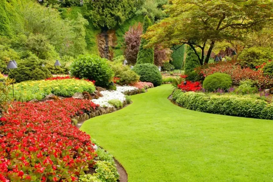 Como deixar seu jardim lindo e florido