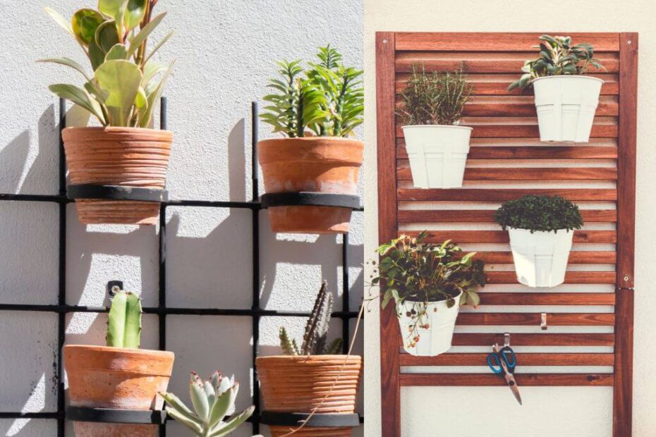 Jardim vertical externo: modelos e dicas de plantas