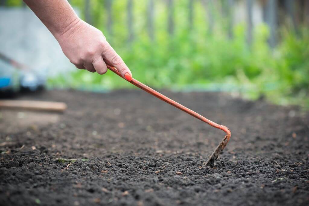 Como fazer um pequeno canteiro de jardim em sua casa e o que plantar nele