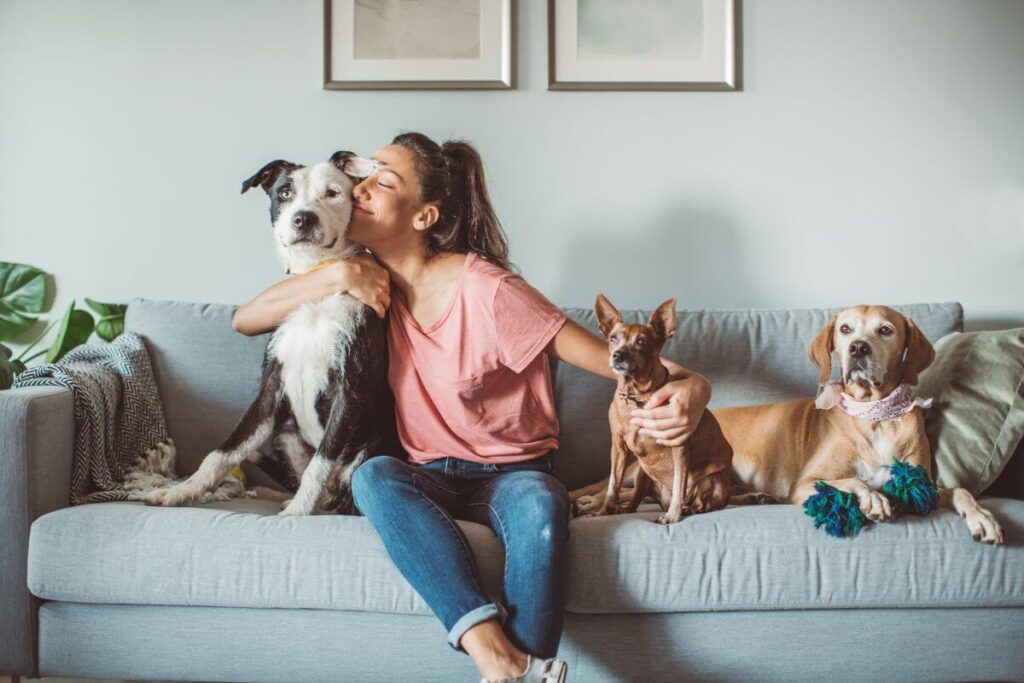 Casa com pets: com organizar e o que não pode faltar