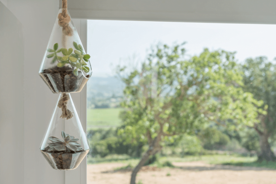 Decoração com vasos suspensos: como fazer