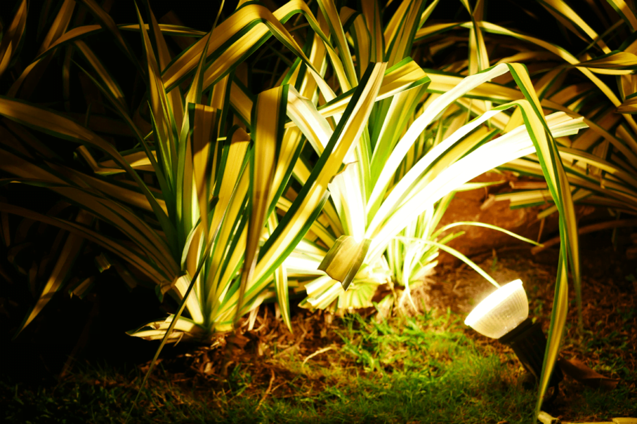 Iluminação para jardim: tipos mais comuns e como escolher a sua