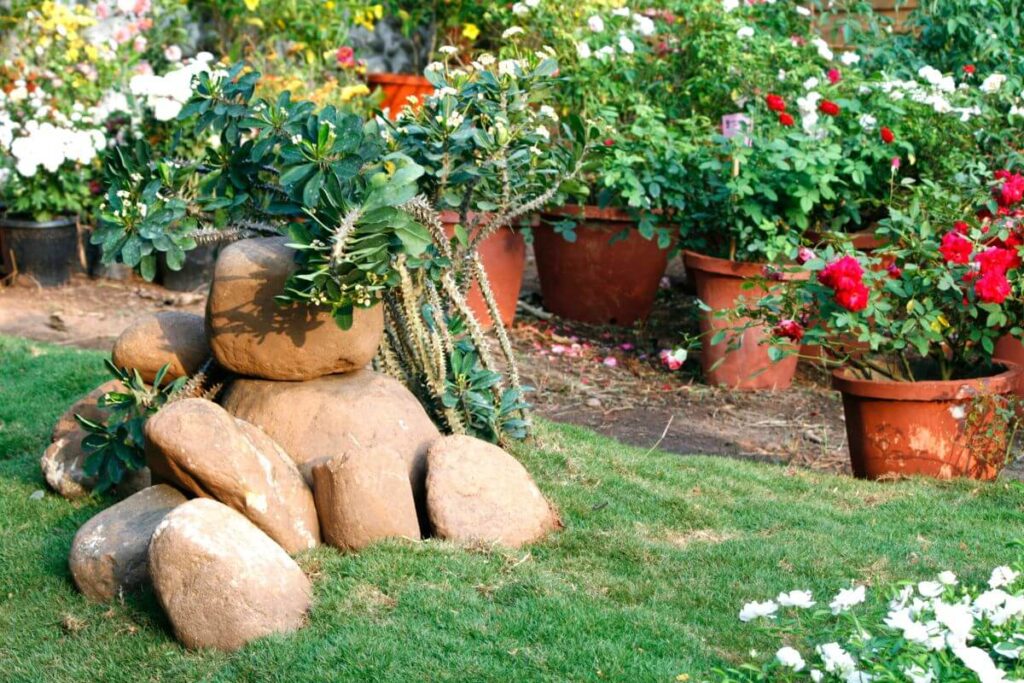 Jardim simples e criativo: como organizar um quintal com pouco dinheiro