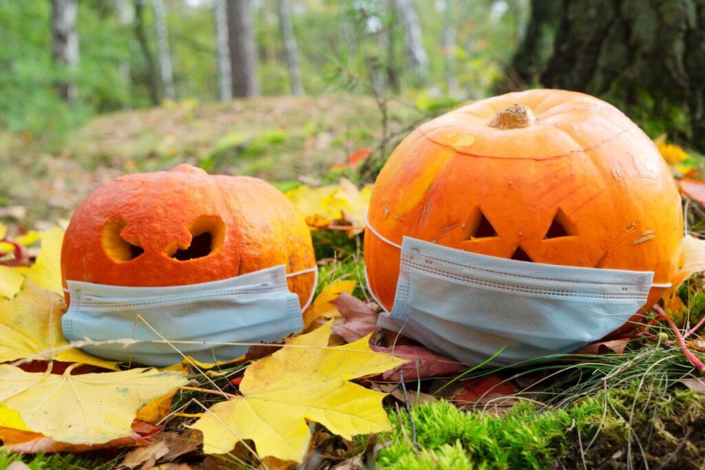 5 Dicas para uma Decoração de Halloween para Jardim Assustadora