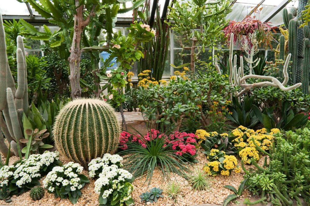 Construindo um jardim árido em seu quintal: mais fácil do que parece