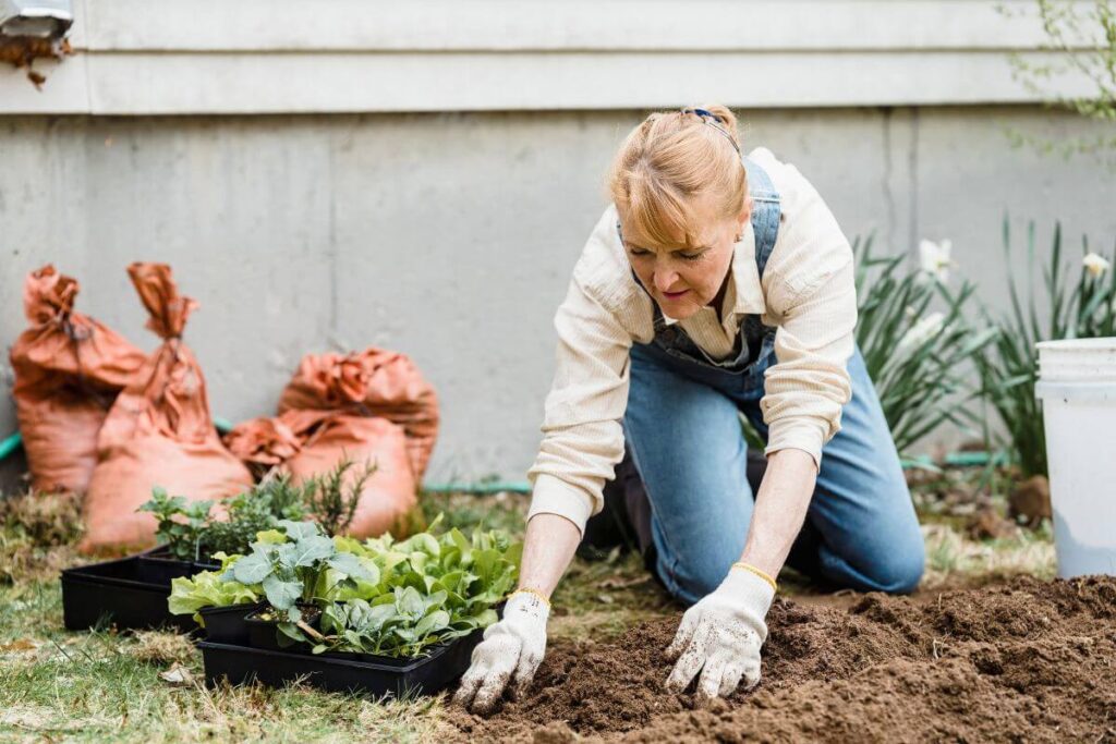 Jardinagem em casa: tipos de jardins e ferramentas indispensáveis para seu novo hobby