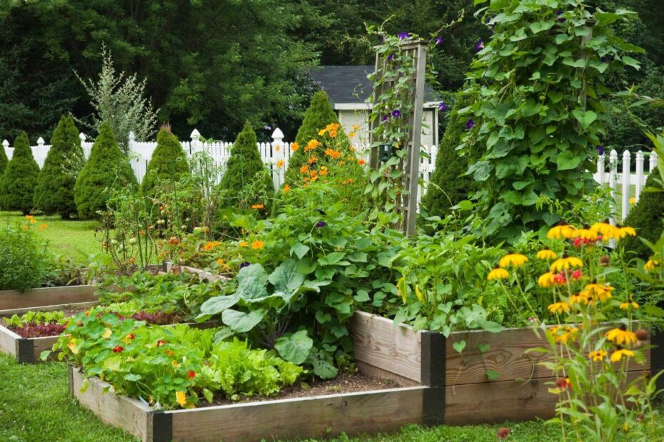 Plantas comuns no paisagismo – saiba quais são as melhores para o seu jardim