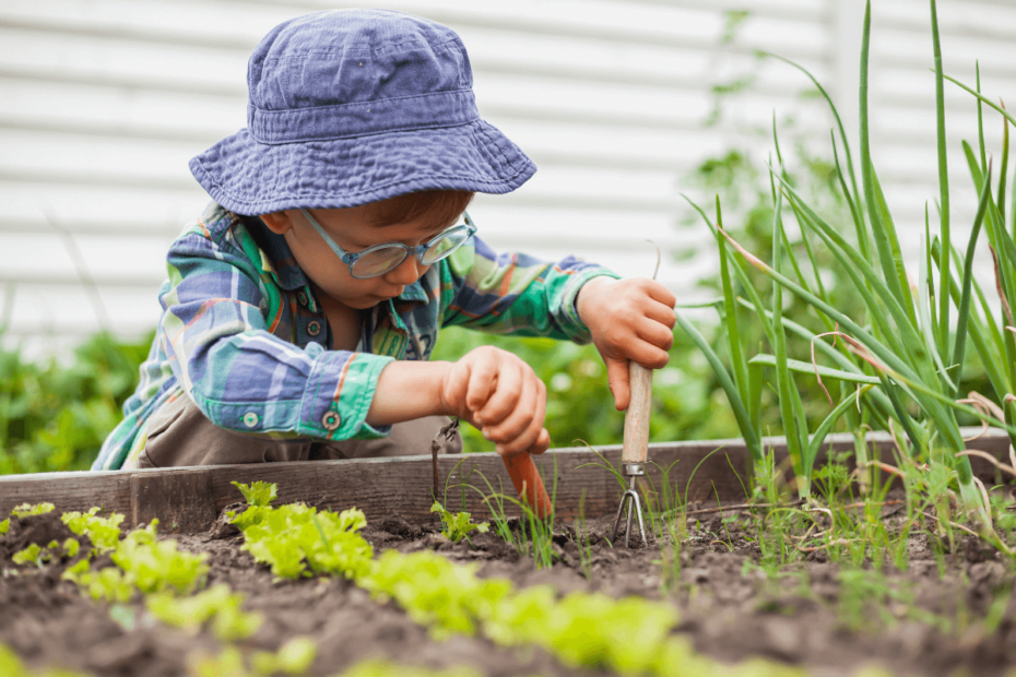 Dicas para organizar um jardim no seu quintal: o jardim dos sonhos é possível, sim!