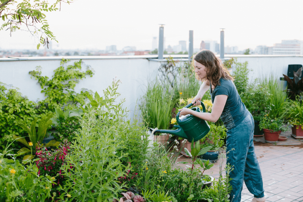 Jardins de cobertura: quais as em melhores plantas para este modelo de jardim