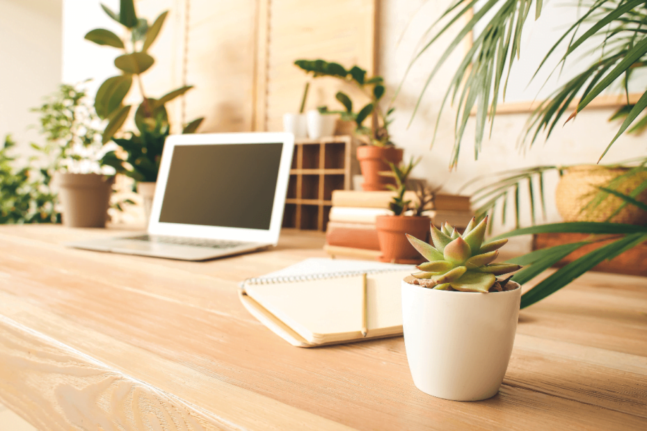 Como criar um ambiente de trabalho confortável em casa