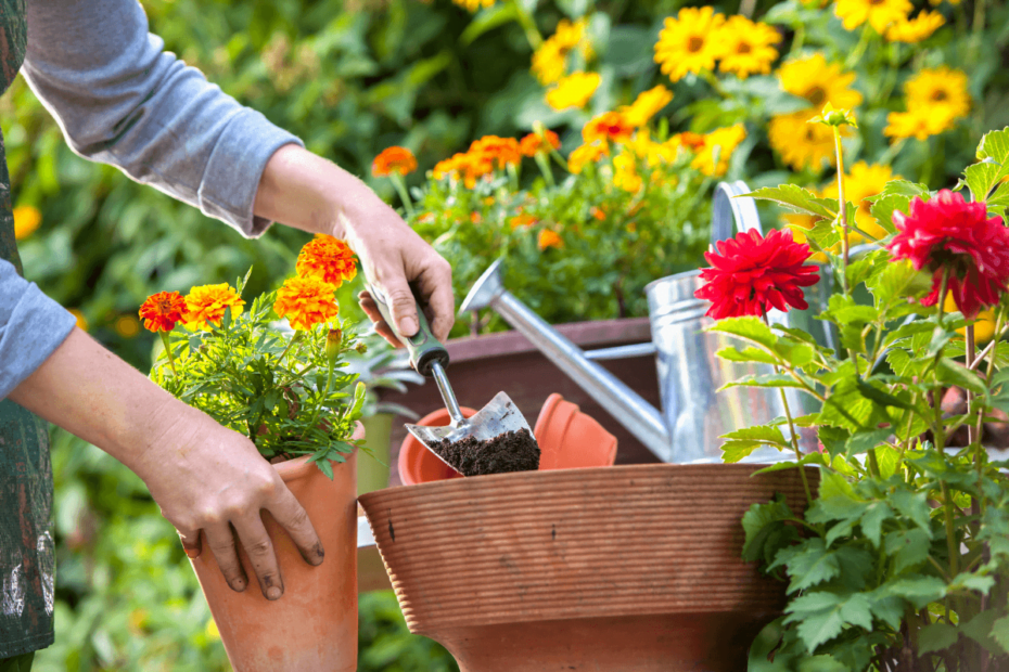 Como decorar sua casa com um jardim de flores silvestres