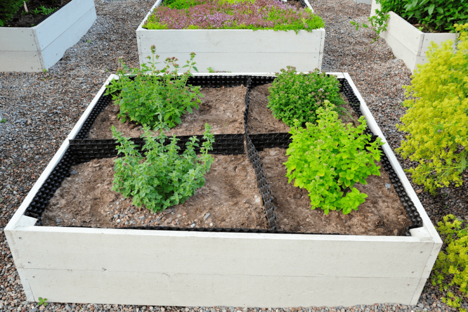 Jardim orgânico: como ter sua própria horta em casa